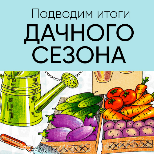 нов.jpg